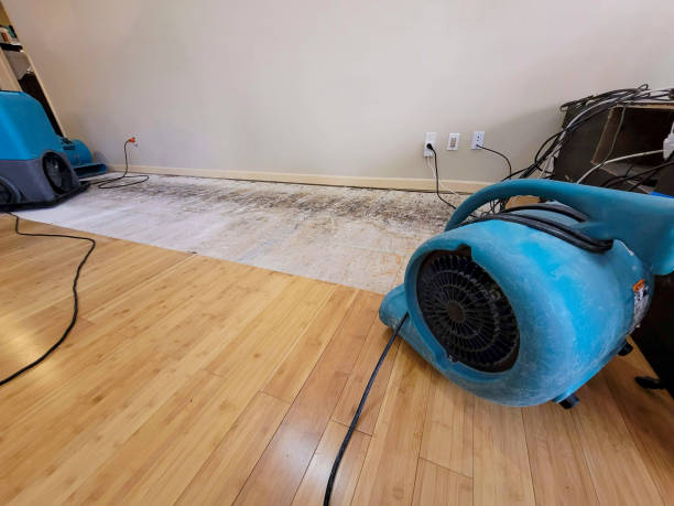 Professional Burst Pipe Water Damage technician working in Camden, NJ